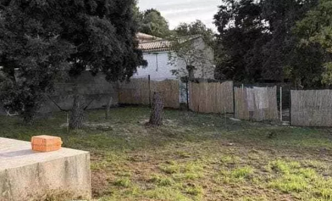 Aménagement complet d'un jardin à Orange : un extérieur harmonieux et fonctionnel, Bollène, AETP