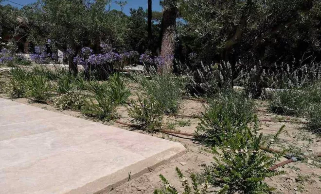 Aménagement de jardin à Bollène, Bollène, AETP
