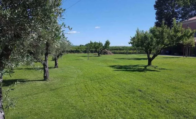 Aménagement de jardin à Bollène, Bollène, AETP