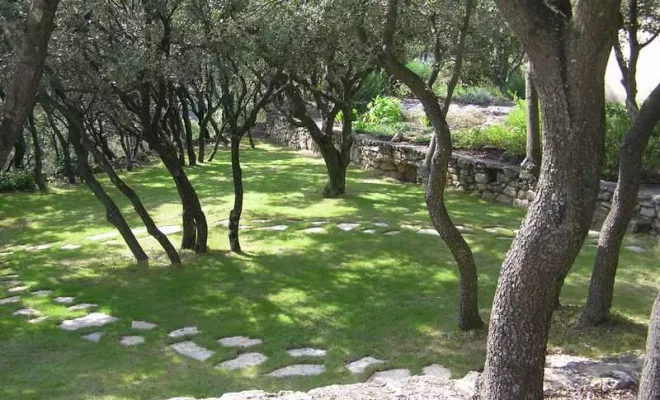 Aménagement de jardin à Bollène, Bollène, AETP