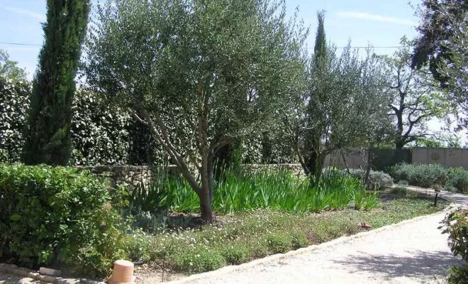 Aménagement de jardin à Bollène, Bollène, AETP