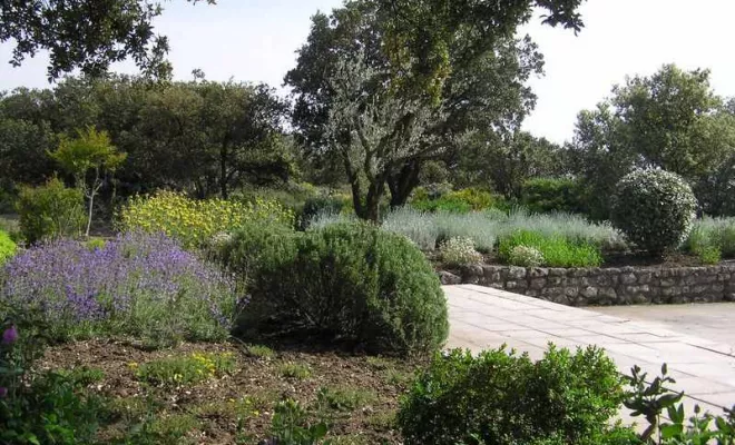 Aménagement de jardin à Bollène, Bollène, AETP
