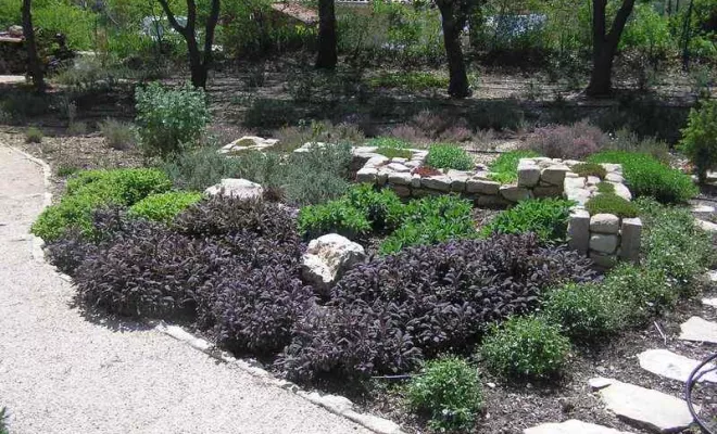Aménagement de jardin à Bollène, Bollène, AETP