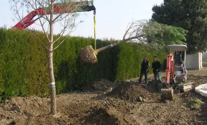 Aménagement de jardin à Bollène, Bollène, AETP