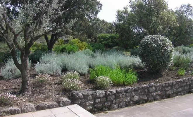 Aménagement de jardin à Bollène, Bollène, AETP