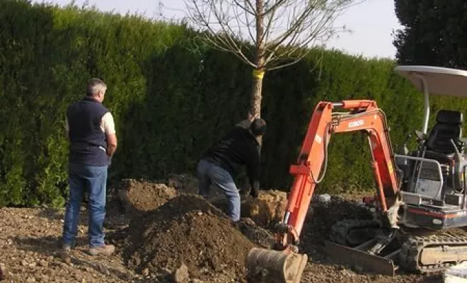 Aménagement de jardin à Bollène, Bollène, AETP