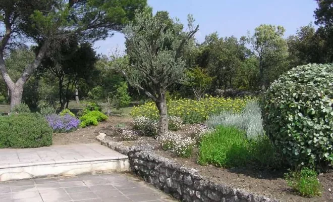 Aménagement de jardin à Bollène, Bollène, AETP