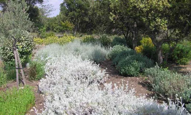 Aménagement de jardin à Bollène, Bollène, AETP