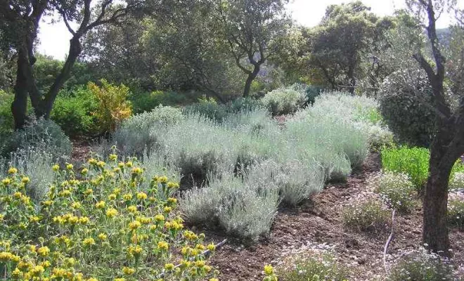 Aménagement de jardin à Bollène, Bollène, AETP