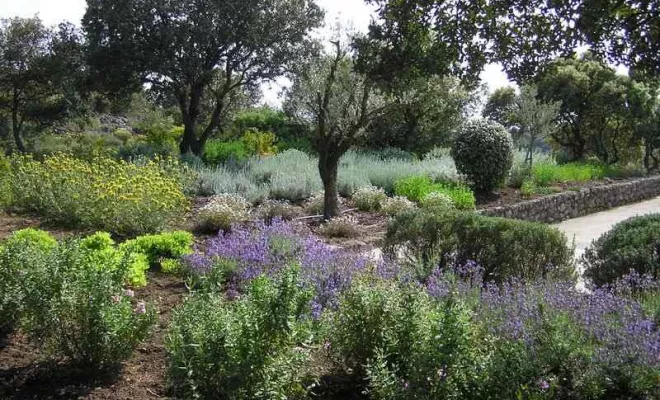 Aménagement de jardin à Bollène, Bollène, AETP