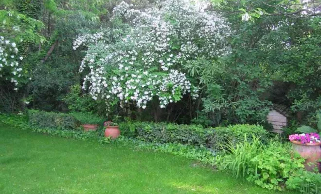 Entretien de jardin à Bollène, Bollène, AETP