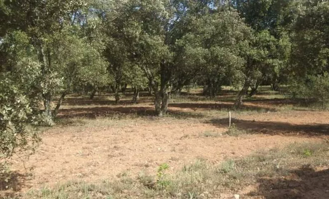 Interventions extérieures ponctuelles à Bollène, Bollène, AETP